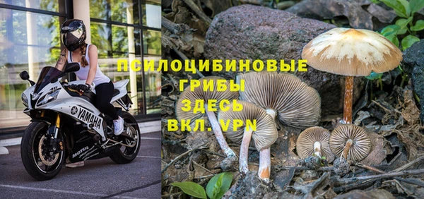дживик Алексин